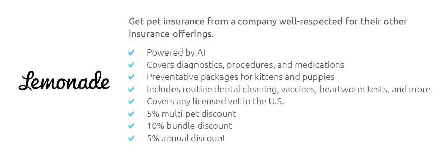 Dog Liability Insurance 🐶 Feb 2025